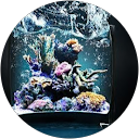 shweta mishra profile picture